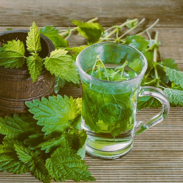 Foglie di cavolo sulle ginocchia